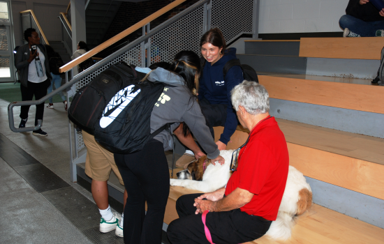 A happy and relaxed therapy dog being pet by students