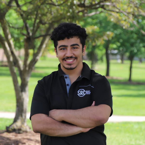 Mohamad Al-Mosawi - board photo